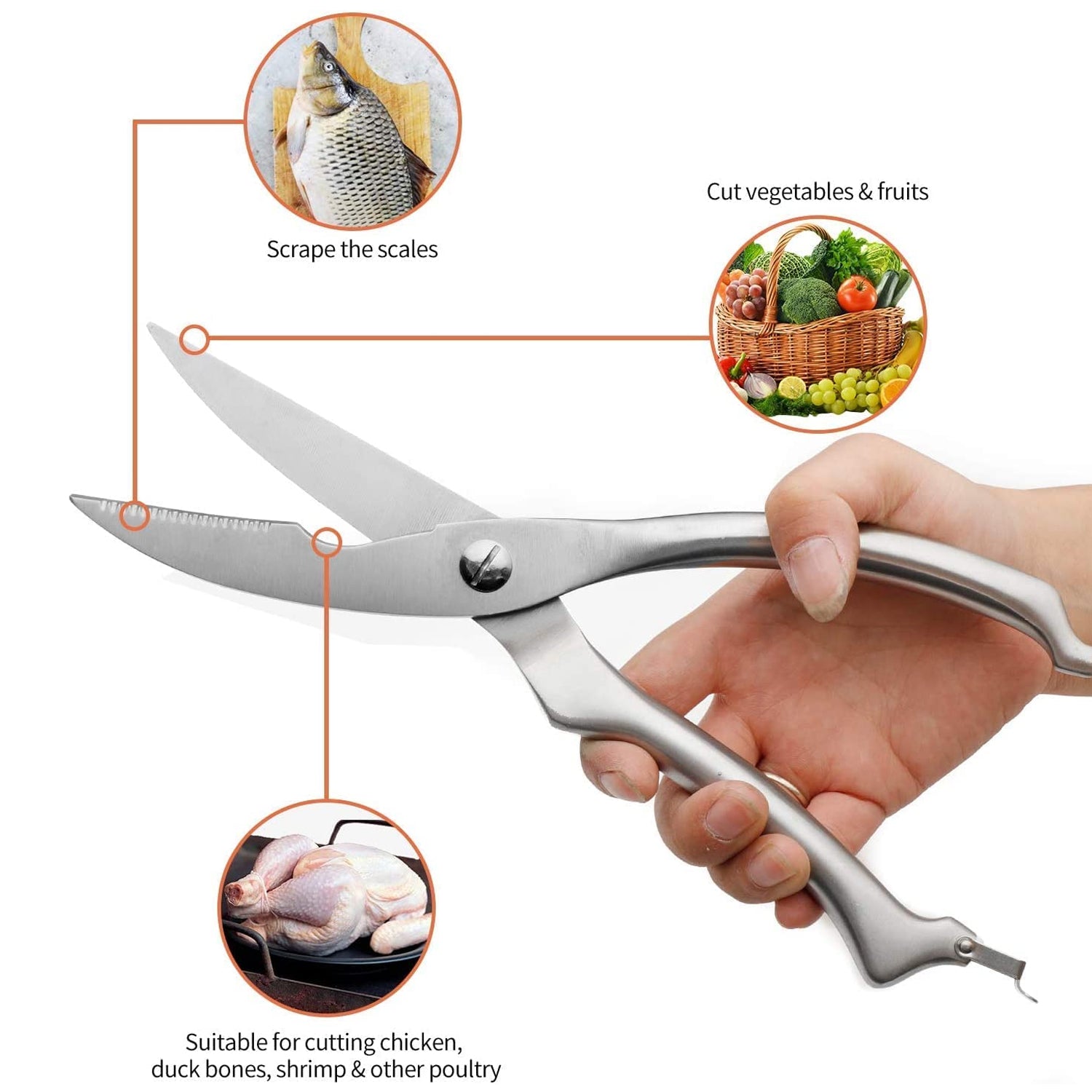 5206 Heavy Duty Stainless Steel Poultry Shears, Premium Ultra Sharp Spring-Loaded Kitchen DeoDap 5206 Heavy Duty Stainless Steel Poultry Shears, Premium Ultra Sharp Spring-Loaded Kitchen DeoDap